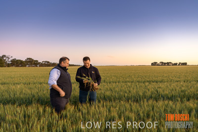 October 2019 / ROSEWORTHY_SA_191018-0032