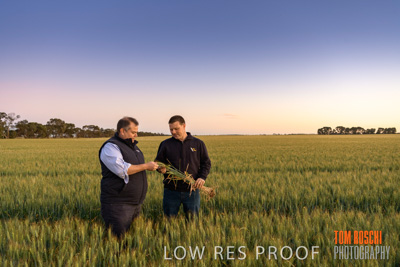 October 2019 / ROSEWORTHY_SA_191018-0035