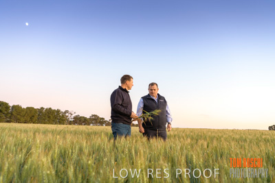 October 2019 / ROSEWORTHY_SA_191018-0042