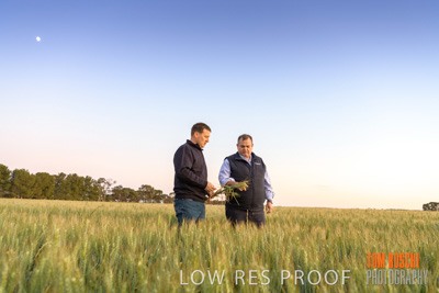 October 2019 / ROSEWORTHY_SA_191018-0044