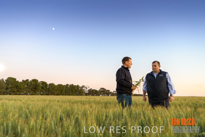 October 2019 / ROSEWORTHY_SA_191018-0049