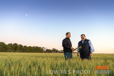 October 2019 / ROSEWORTHY_SA_191018-0050