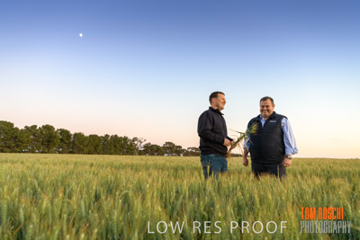 October 2019 / ROSEWORTHY_SA_191018-0051