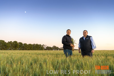 October 2019 / ROSEWORTHY_SA_191018-0052