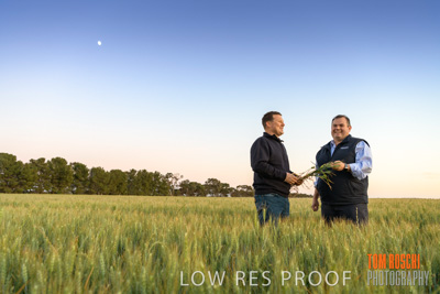 October 2019 / ROSEWORTHY_SA_191018-0056