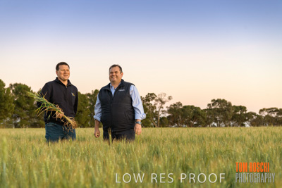 October 2019 / ROSEWORTHY_SA_191018-0066