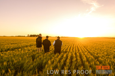 October 2019 / ROSEWORTHY_SA_191018-0114