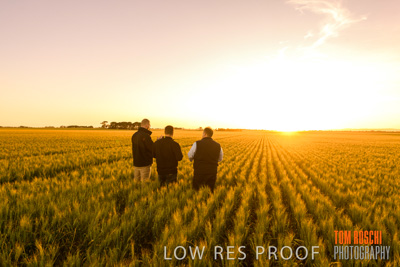 October 2019 / ROSEWORTHY_SA_191018-0115