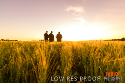 October 2019 / ROSEWORTHY_SA_191018-0117