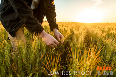 October 2019 / ROSEWORTHY_SA_191018-0157