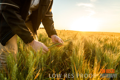 October 2019 / ROSEWORTHY_SA_191018-0158