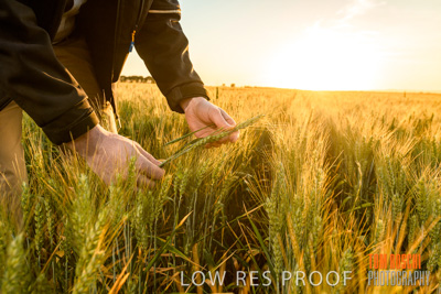 October 2019 / ROSEWORTHY_SA_191018-0160