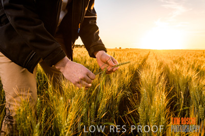 October 2019 / ROSEWORTHY_SA_191018-0162