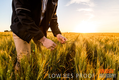 October 2019 / ROSEWORTHY_SA_191018-0163