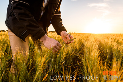 October 2019 / ROSEWORTHY_SA_191018-0165