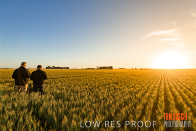 October 2019 / ROSEWORTHY_SA_191018-0196