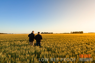 October 2019 / ROSEWORTHY_SA_191018-0198