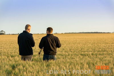 October 2019 / ROSEWORTHY_SA_191018-0204