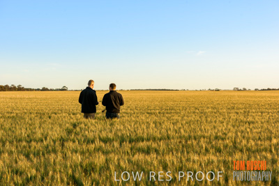 October 2019 / ROSEWORTHY_SA_191018-0206