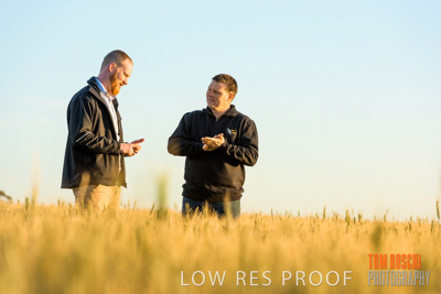 October 2019 / ROSEWORTHY_SA_191018-0221