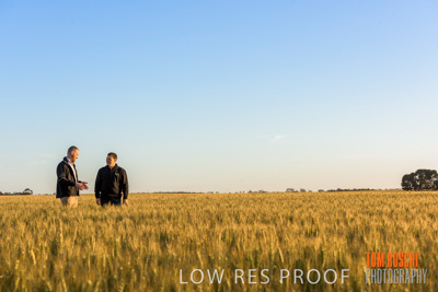 October 2019 / ROSEWORTHY_SA_191018-0226