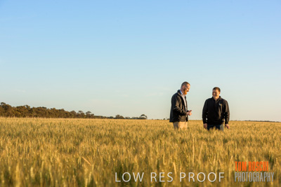 October 2019 / ROSEWORTHY_SA_191018-0232