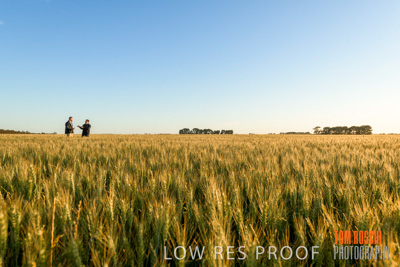 October 2019 / ROSEWORTHY_SA_191018-0233