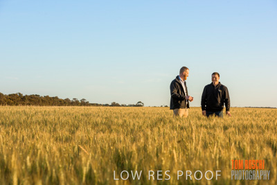 October 2019 / ROSEWORTHY_SA_191018-0234