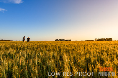 October 2019 / ROSEWORTHY_SA_191018-0237