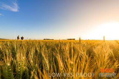 October 2019 / ROSEWORTHY_SA_191018-0238