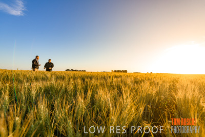 October 2019 / ROSEWORTHY_SA_191018-0239