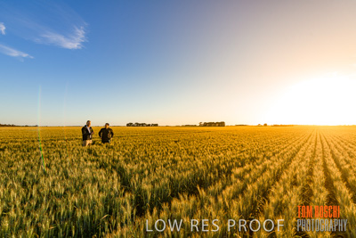 October 2019 / ROSEWORTHY_SA_191018-0240