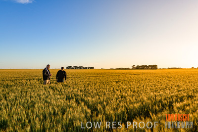 October 2019 / ROSEWORTHY_SA_191018-0241