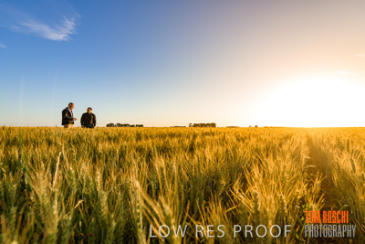 October 2019 / ROSEWORTHY_SA_191018-0244