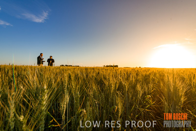 October 2019 / ROSEWORTHY_SA_191018-0247