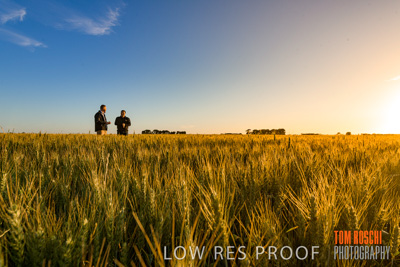 October 2019 / ROSEWORTHY_SA_191018-0249