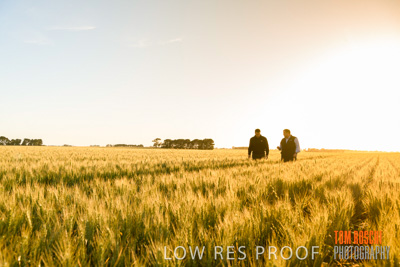 October 2019 / ROSEWORTHY_SA_191018-0279