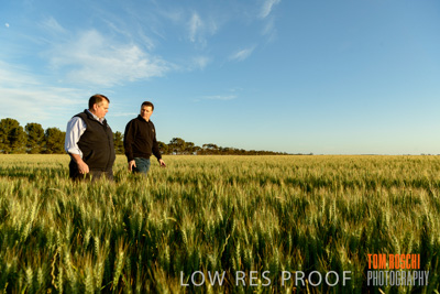 October 2019 / ROSEWORTHY_SA_191018-0296