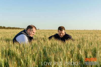 October 2019 / ROSEWORTHY_SA_191018-0320