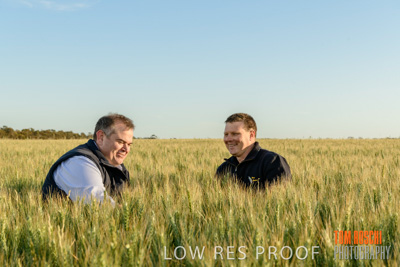 October 2019 / ROSEWORTHY_SA_191018-0323