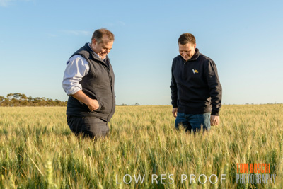 October 2019 / ROSEWORTHY_SA_191018-0325