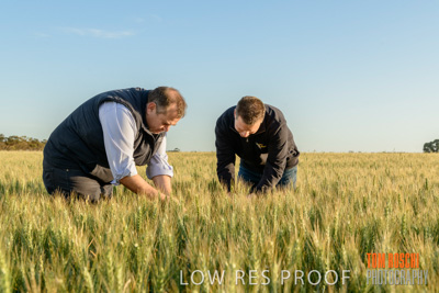 October 2019 / ROSEWORTHY_SA_191018-0326