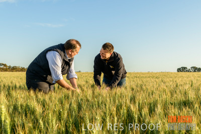 October 2019 / ROSEWORTHY_SA_191018-0327