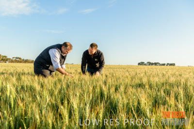 October 2019 / ROSEWORTHY_SA_191018-0332