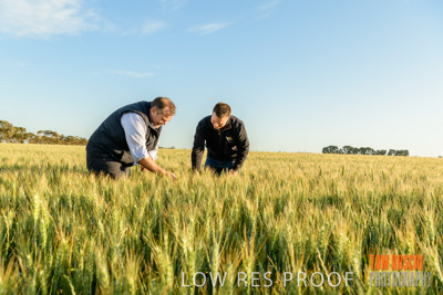 October 2019 / ROSEWORTHY_SA_191018-0333