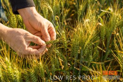 October 2019 / ROSEWORTHY_SA_191018-0349