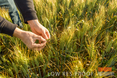October 2019 / ROSEWORTHY_SA_191018-0351