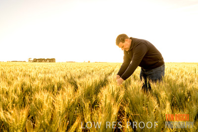 October 2019 / ROSEWORTHY_SA_191018-0367