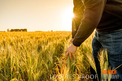 October 2019 / ROSEWORTHY_SA_191018-0380