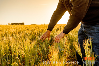 October 2019 / ROSEWORTHY_SA_191018-0382